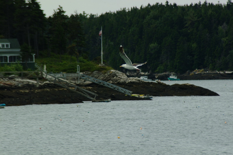 DSCF1642.JPG