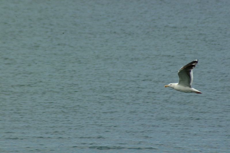 DSCF1641.JPG
