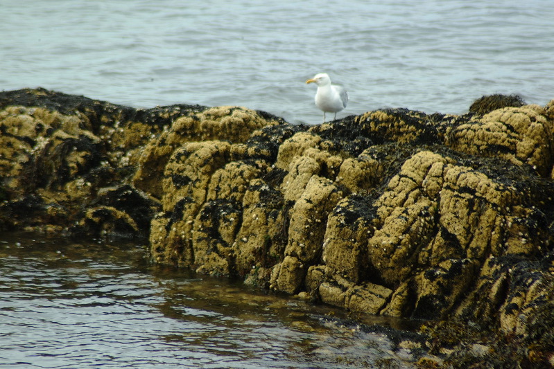 DSCF1639.JPG