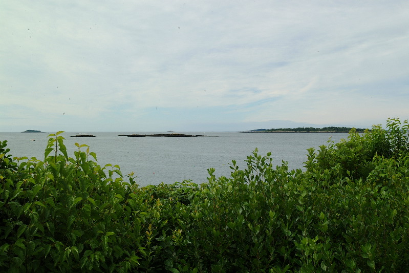 DSCF1633.JPG