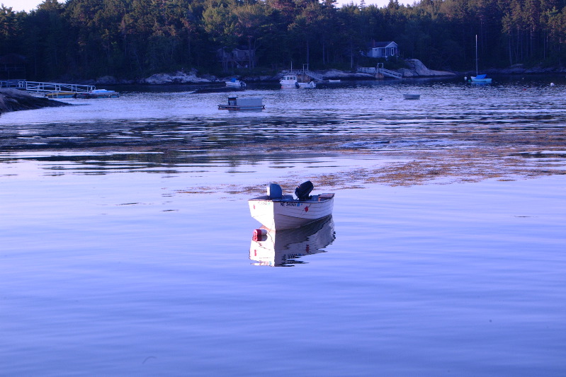 DSCF1740.JPG
