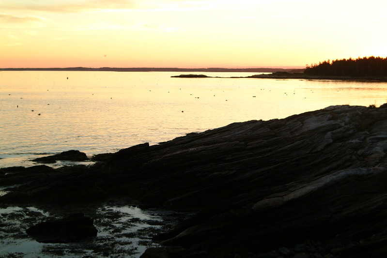 DSCF1706.JPG