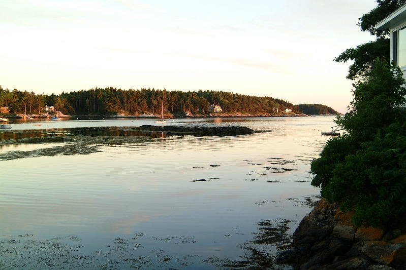 DSCF1700.JPG