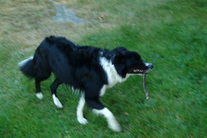 DSCF1695.JPG