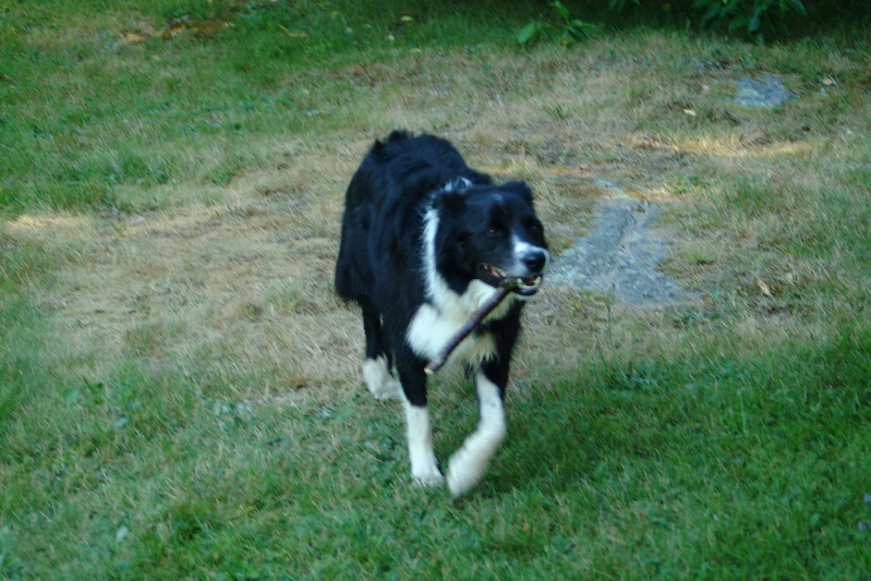 DSCF1694.JPG