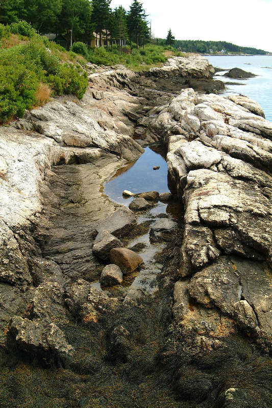 DSCF1668.JPG