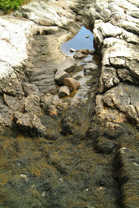DSCF1667.JPG