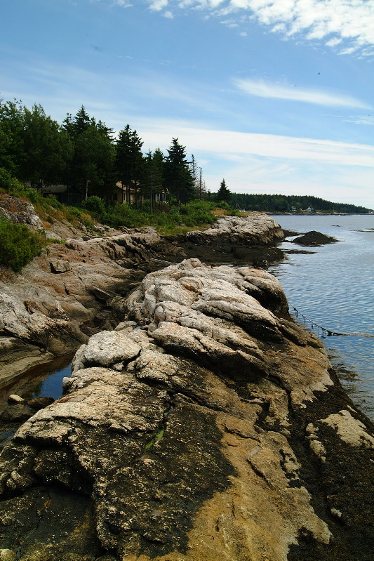 DSCF1666.JPG