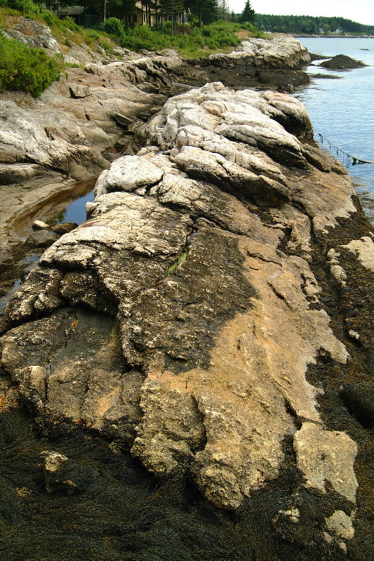 DSCF1665.JPG