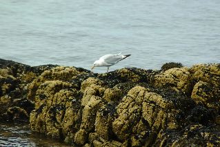 DSCF1643.JPG