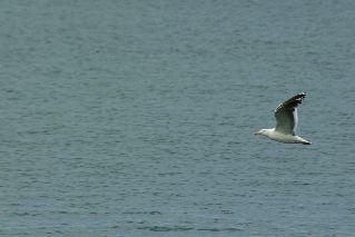 DSCF1641.JPG