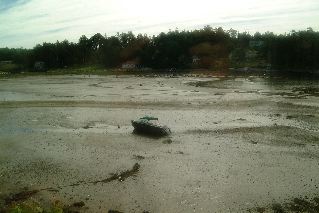DSCF1631.JPG