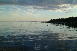 DSCF1819.JPG