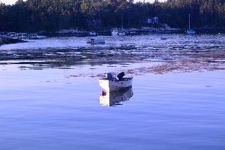 DSCF1740.JPG
