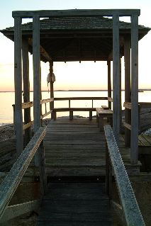DSCF1713.JPG