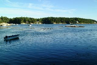 DSCF1689.JPG
