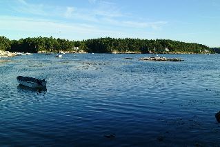 DSCF1675.JPG