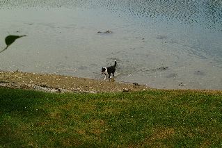 DSCF1673.JPG