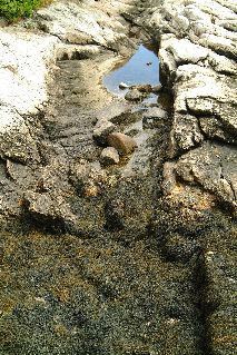 DSCF1667.JPG