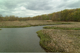 DSCF1374.JPG