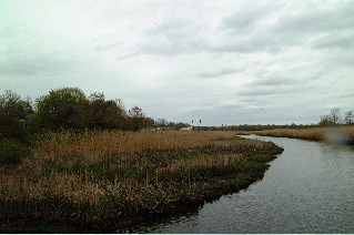 DSCF1410.JPG