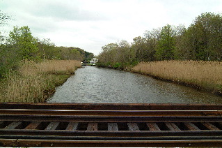 DSCF1394.JPG